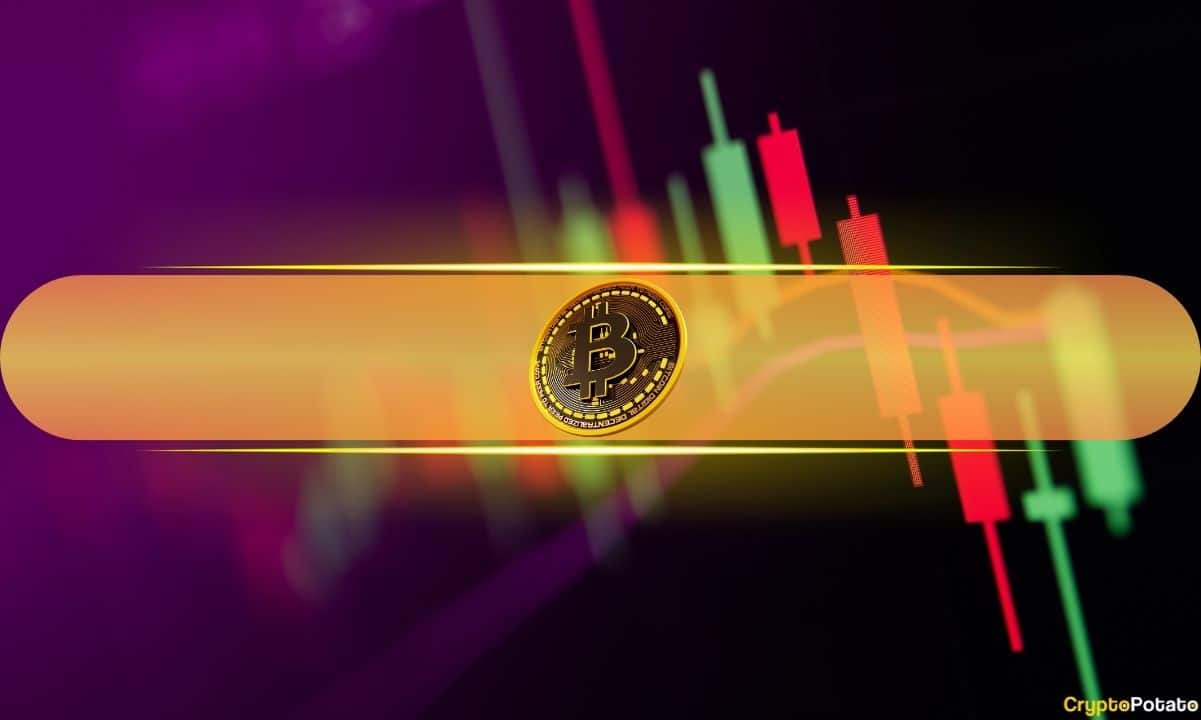 PNUT Soars into Top 100 After Massive Rebound, While BTC Falls to ,000 (Market Observations)
